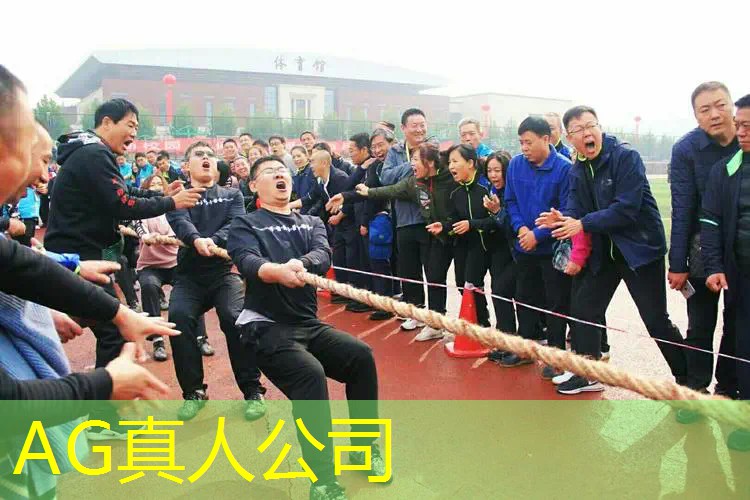 不需要策划的游戏