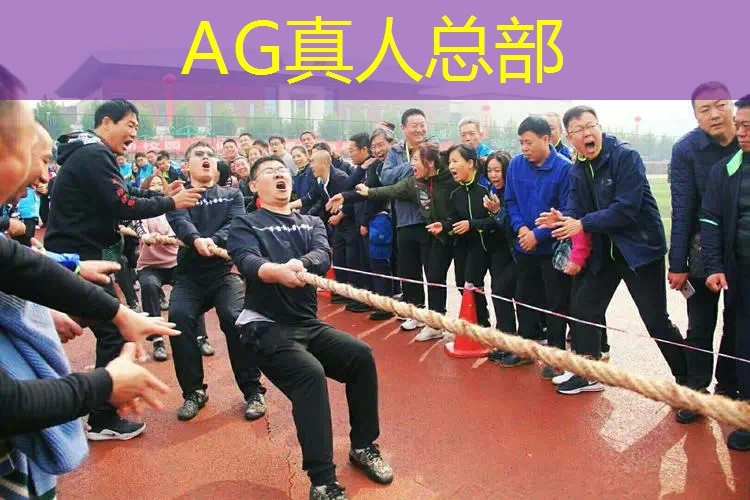 游戏原画师节目叫什么名字