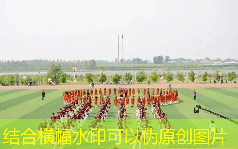 Ag平台官方网站：海贼王卡牌游戏原画