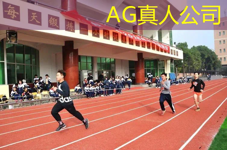 ag真人平台官方：游戏程序设计创意说明范文