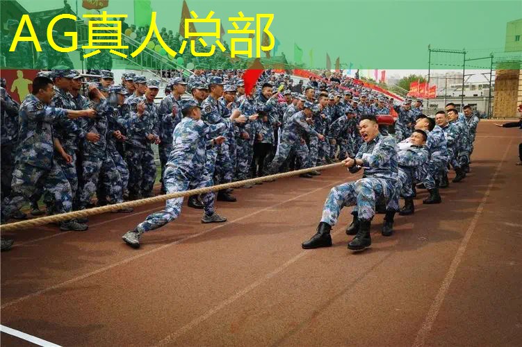 ag真人平台官方：怀旧3d战争游戏有哪些