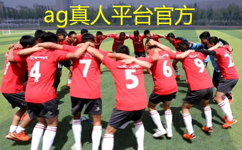 AG真人国际官网：日本3d游戏国风游戏推荐