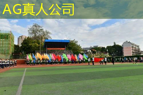 AG真人国际官网：可视化数据小程序游戏排行榜