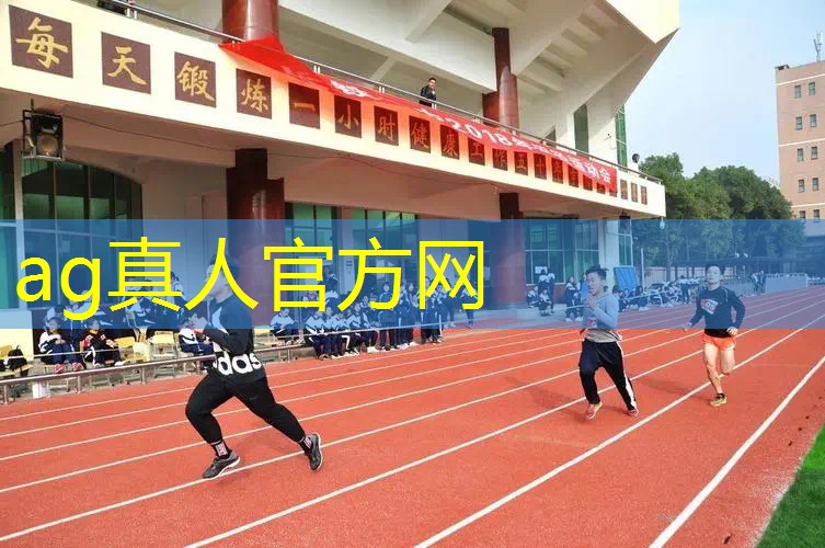 ag真人平台官方：3d真实公交车模拟器游戏