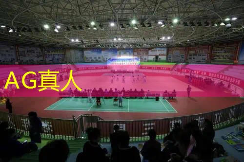 ag真人官方网：数字游戏原画是什么