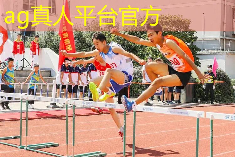 AG真人：可爱类型3d游戏