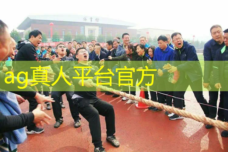 Ag平台官方网站：老游戏3d直升机怎么获得