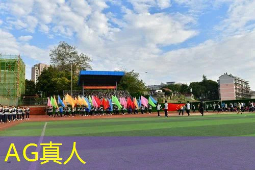 王者3d台球小游戏大全