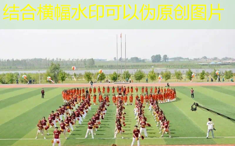 AG真人：如何成为职业麻将选手的条件
