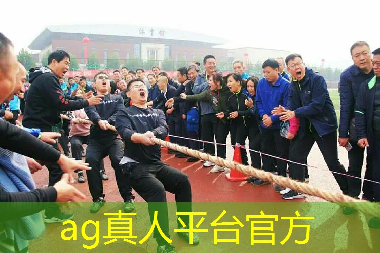 塔防游戏电脑3d