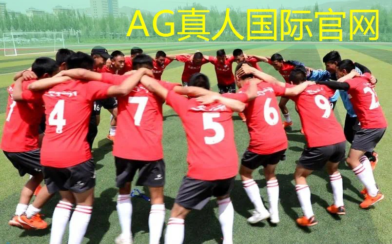 公交车3D游戏大全