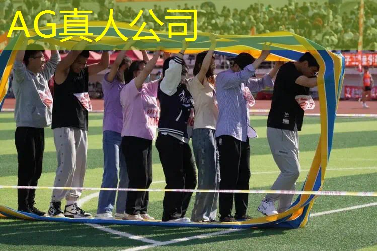 Ag平台官方网站：游戏熊出没3d