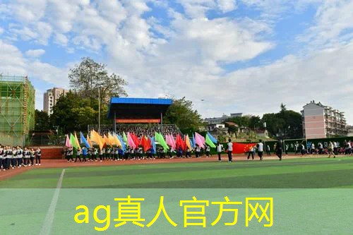 AG真人国际官网：收集皮肤的3d游戏
