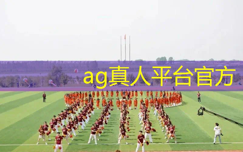 收纳物品游戏3d