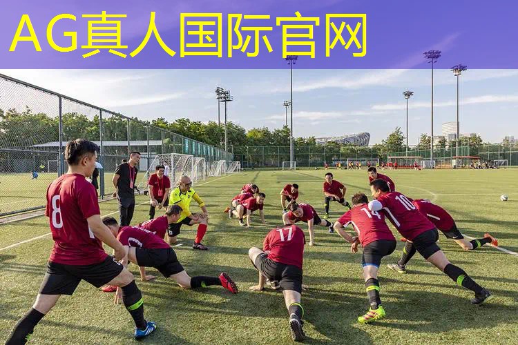 3d玛丽罗斯游戏在哪下