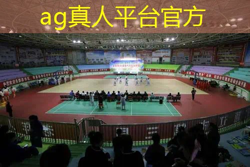 Ag平台官方网站：乐高拼搭微信小程序游戏推荐