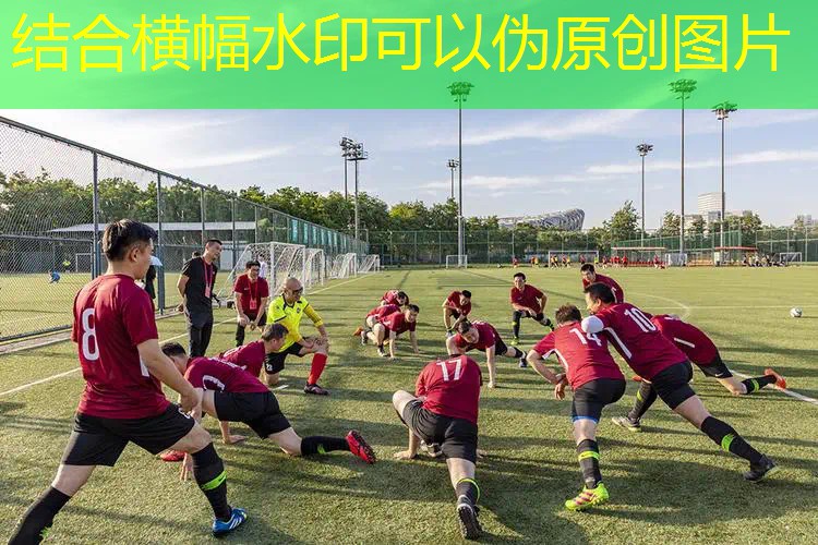 3d坦克炮台等级游戏