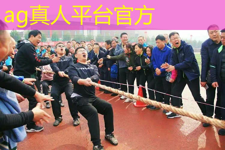原画师做的游戏是什么意思