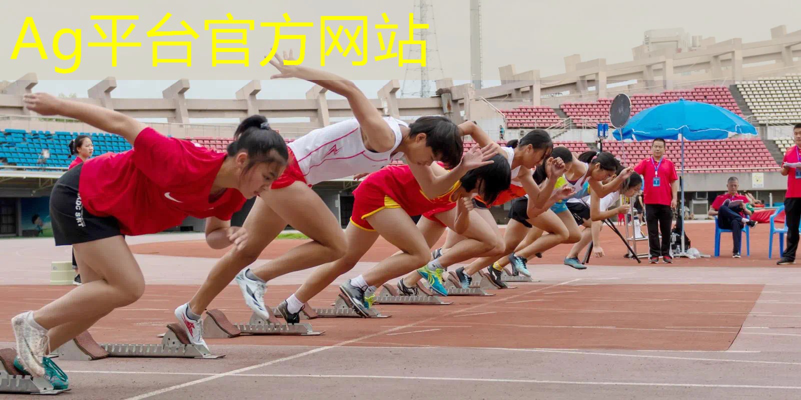解密3d游戏主角是鸟