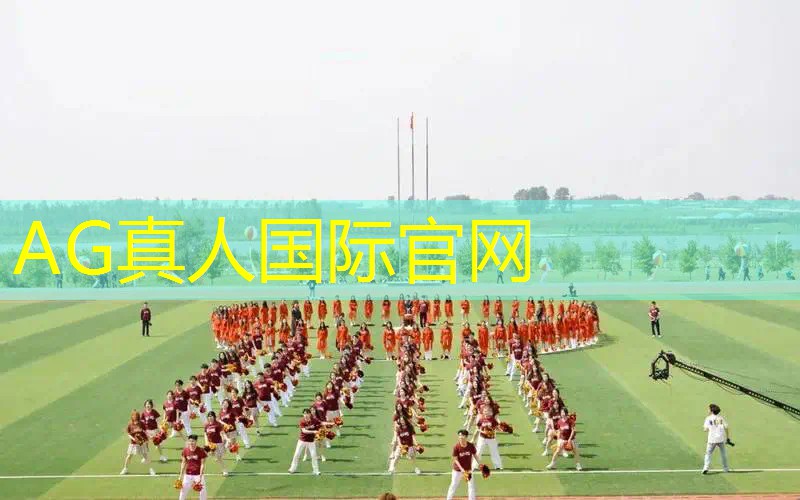 动物格斗游戏 3d