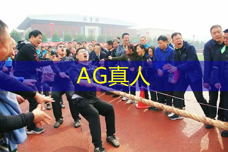 以假乱真的3d游戏名字