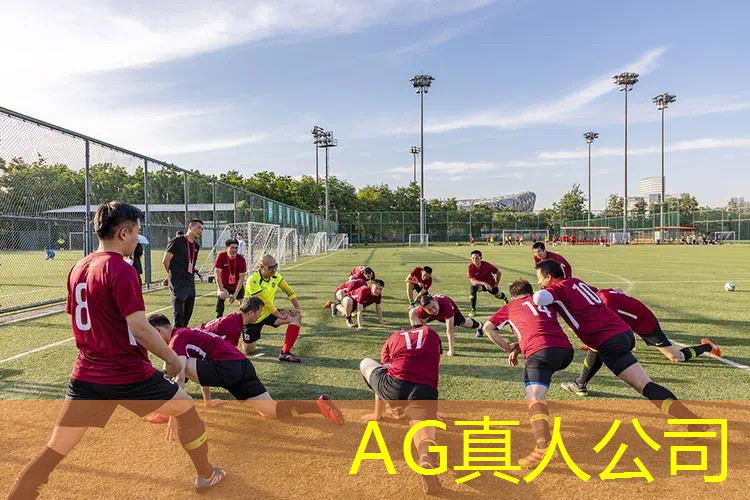 3d低画质游戏