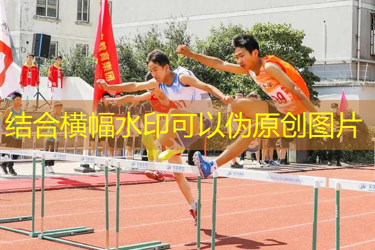 玩老八3d小汉堡游戏