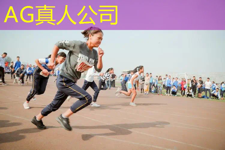 蜜蜂进化3d小游戏大全