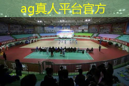 贵州裸眼3d游戏公司地址