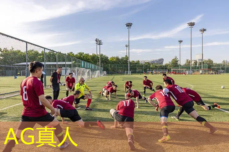 自制游戏3d格斗手游破解版