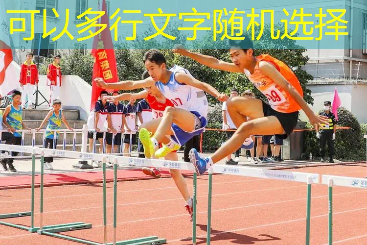 中国二次元3d校园游戏