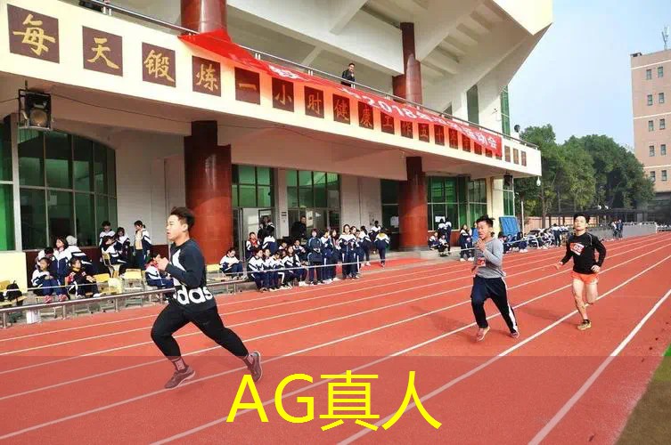山寨游戏解说3D