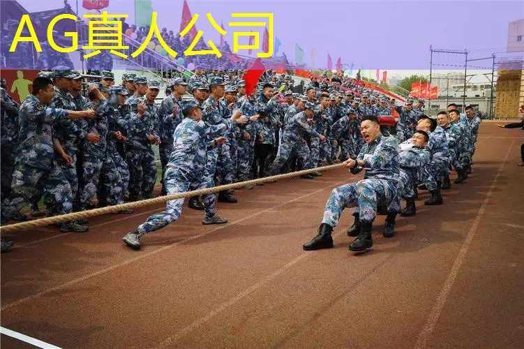 岐山县游戏原画WMFC