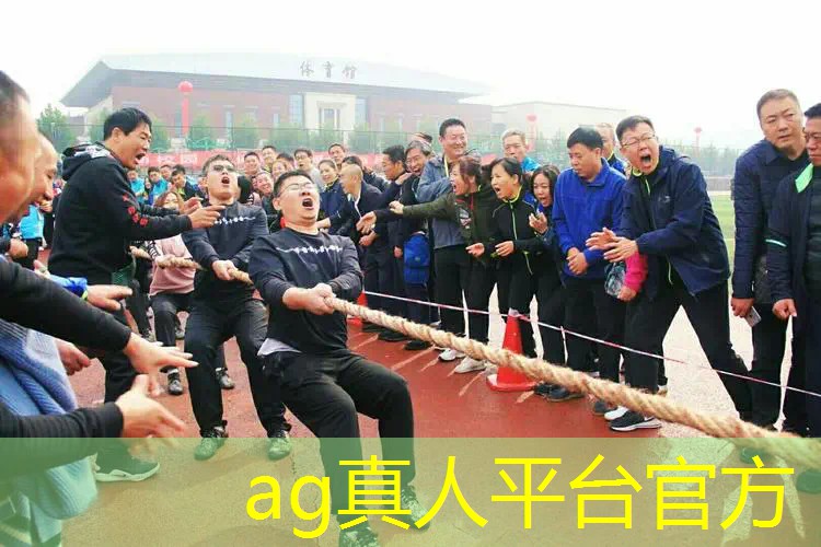 3d蚂蚁搬家游戏入口