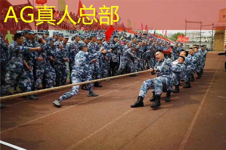 3d的打僵尸游戏叫什么
