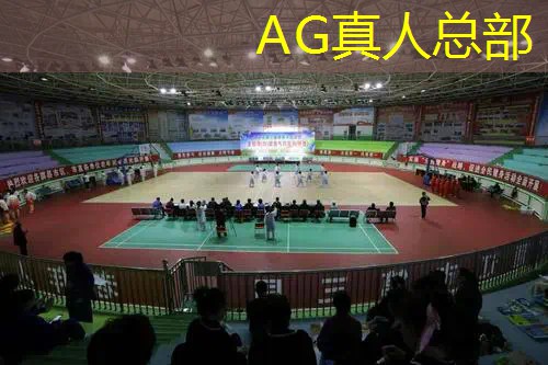 3d游戏机都需要什么配件