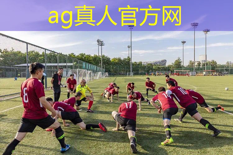 狂野飙车3d游戏解说大全