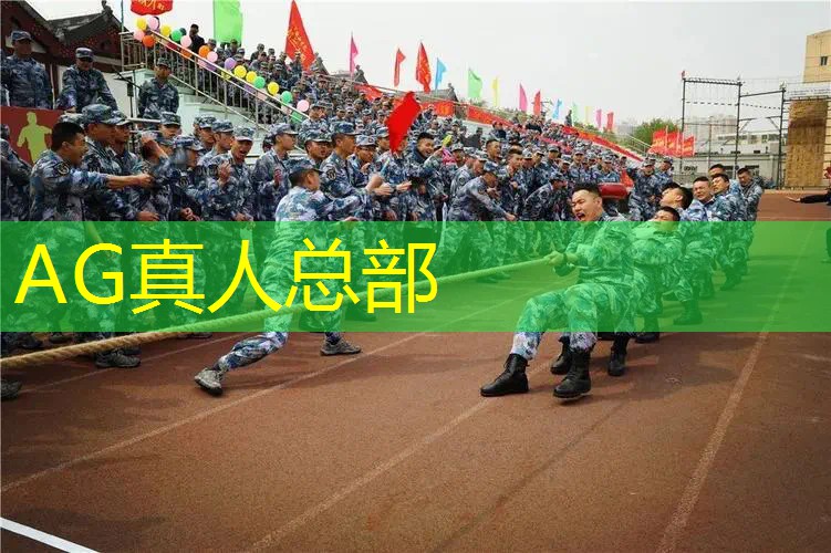 超好玩的飞机3d游戏手机版
