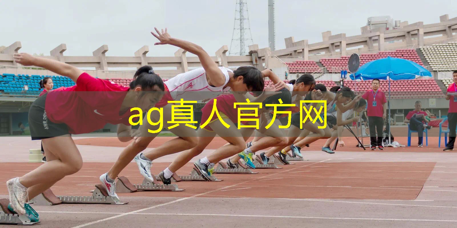 手机怎么玩3d猫里奥游戏
