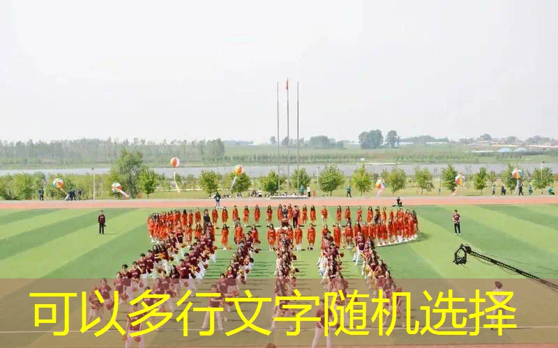 有大熊猫猴子的游戏小程序