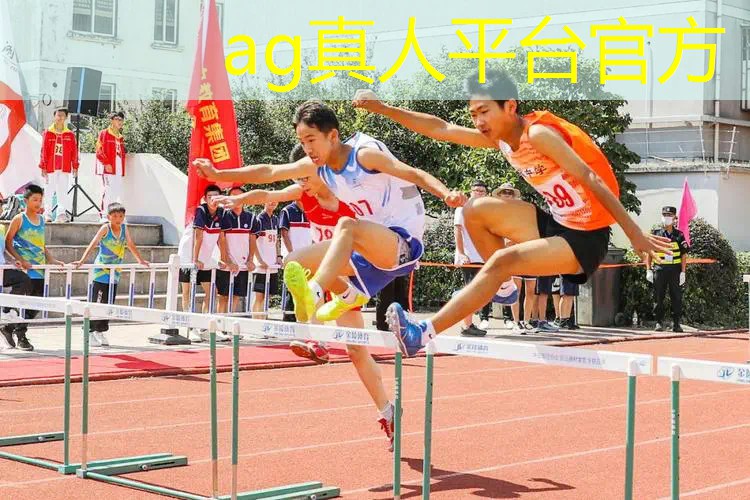 幼儿3d模拟场景游戏大全