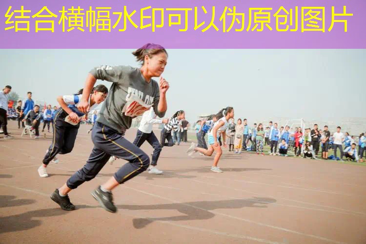 3d动作单机手机游戏推荐
