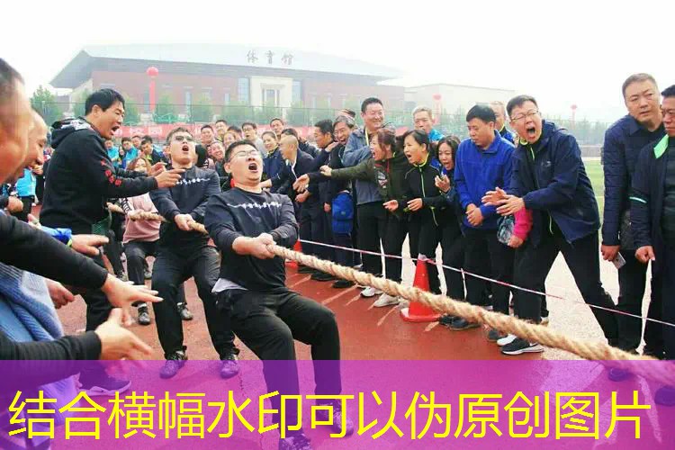 跟原画有关的游戏名字