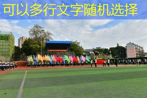 收集皮肤的3d游戏