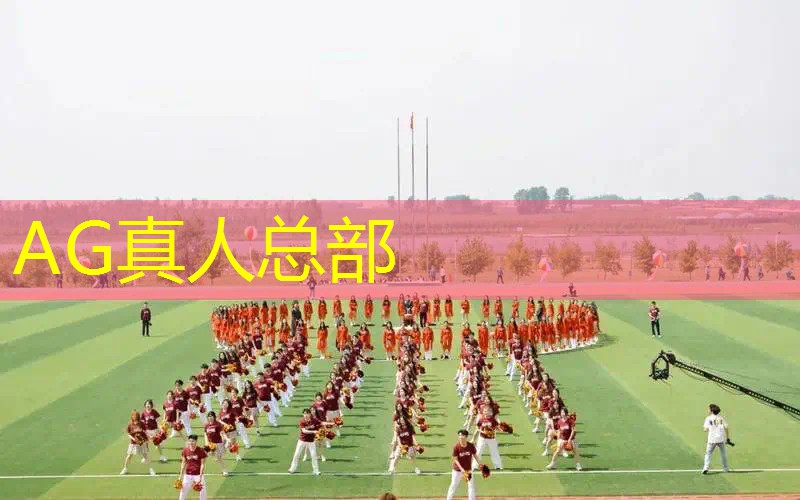 收纳物品游戏3d