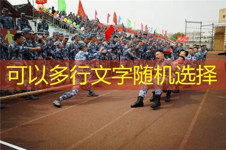 宝可梦3d游戏上线v10